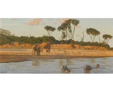 Anthony Gibbs (b.1951). Evening On The Galana, artist signed limited edition print, 264/1,000, 38cm x 75cm.