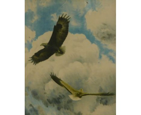 After Bruno Liljefors (1860-1939). Flying Eagle, coloured print, 56cm x 46cm.