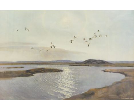Peter Scott (1909-1989). Ducks in flight, artist signed print, 36cm x 50cm.