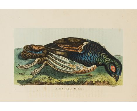 White (Rev. Gilbert) The Natural History and Antiquities of Selborne, second quarto edition, 2 half-titles with engraved vign