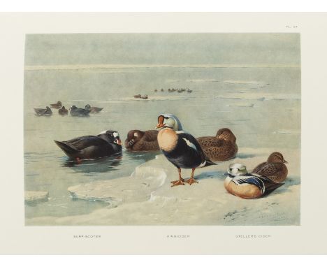 Birds.- Thorburn (Archibald) Game Birds and Wild-Fowl of Great Britain and Ireland, first edition, 30 colour plates, tissue-g