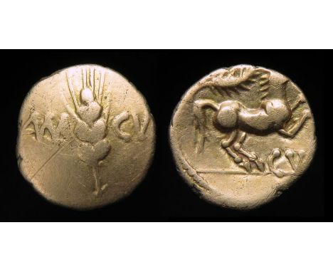 Cunobelinus Plastic Type Gold Quarter Stater. CAM CVN Type. Gold, 1.29g, 13 mm. Corn-ear dividing CAM CVN. R. Horse rearing r