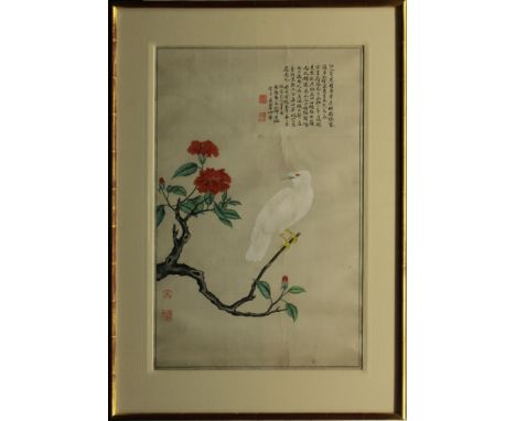Chinese School (19th/20th Century)A White Mynah bird at rest on a blossoming peony branch, signed with seal marks and extensi