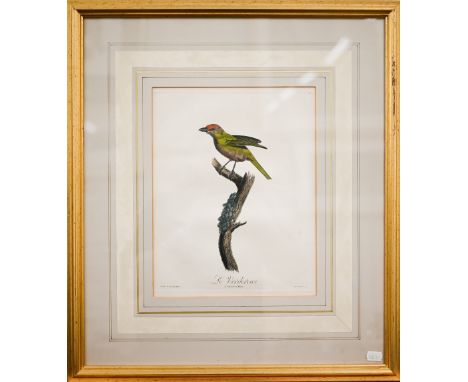 Two bird book plate engravings, 30 x 24 cm; three engravings depicting classical plaques; two architectural engravings of Bal