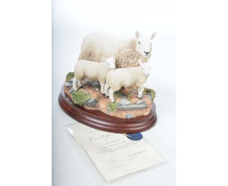 A Border Fine Art group, "Cheviot Ewe and LambsModel No: B1119 by R Ayres, No: 57 of 500, complete with box and certificate