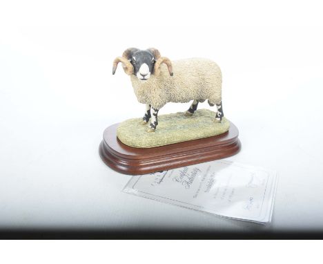 A Border Fine Art model, "Swaledale Tup"Model No: L148, by R. Ayres, No: 521 of 950, complete with box and certificate   COND