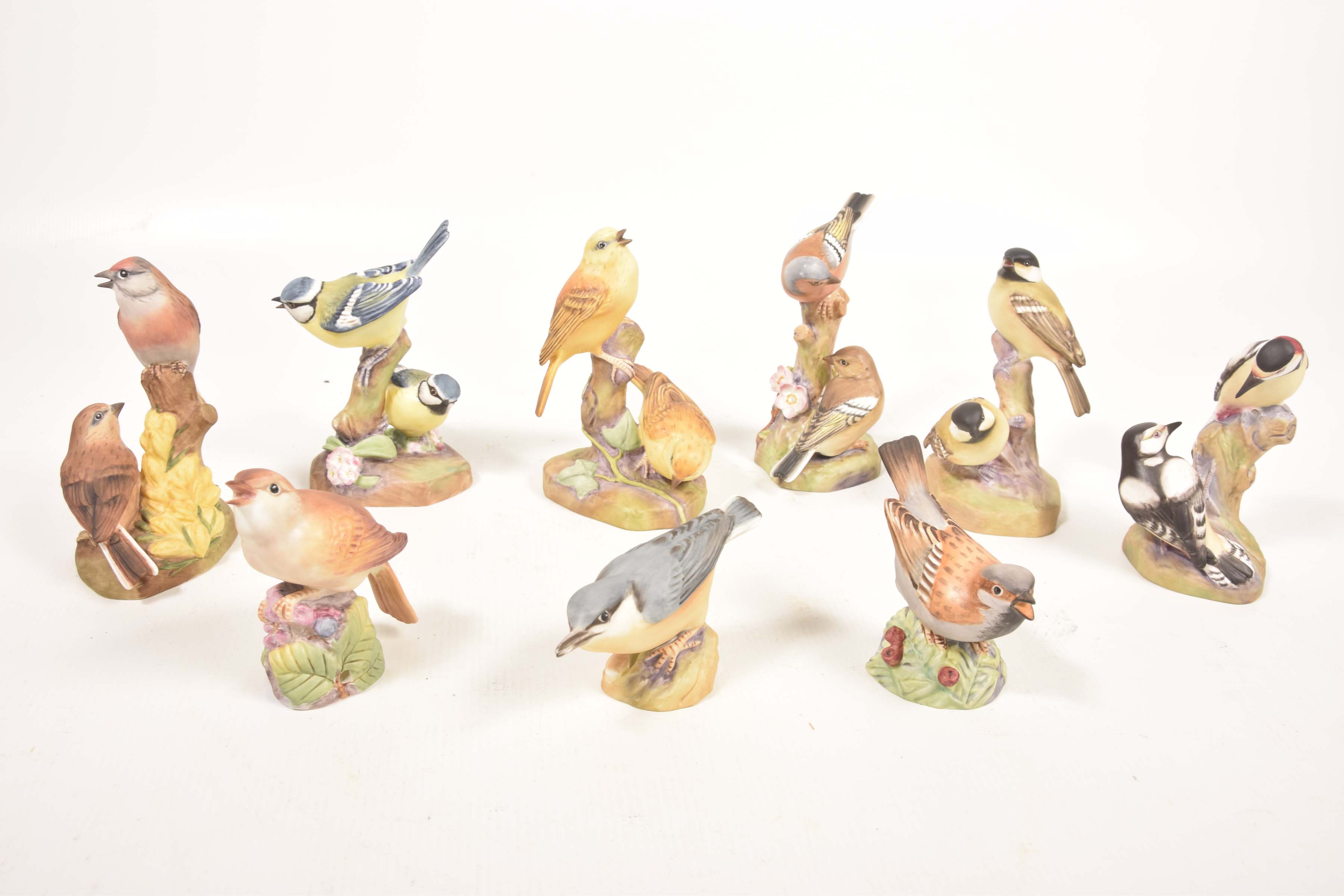 A collection of nine Royal Worcester bird figurines To include Blue Tit ...