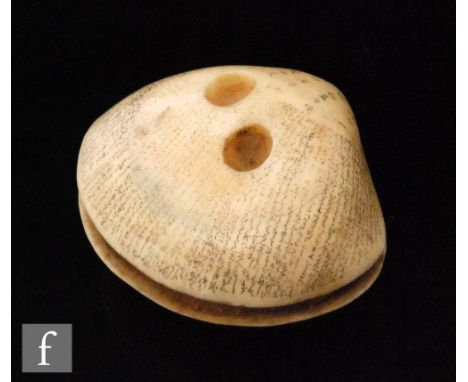 A late 19th/early 20th Century anabori clam shell ivory netsuke, the carved ivory shell with small aperture revealing small c