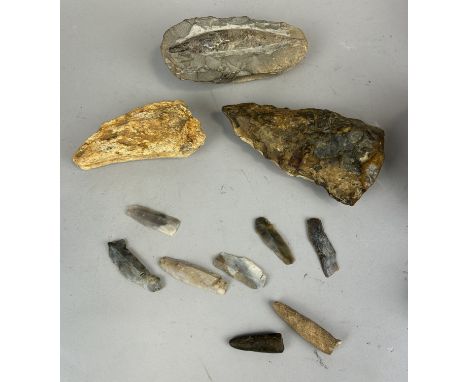 NATURAL HISTORY: A FOSSILISED FISH ALONG WITH NEOLITHIC SCRAPERS, A BONE, POSSIBLE AXELargest 17cm L