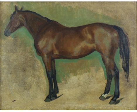 § Lionel Ellis.(1903-1988), Study of a Horse. Oil on board, unsigned. 44 x 52cmsLionel Ellis ARCA (1903-1988) was an importan