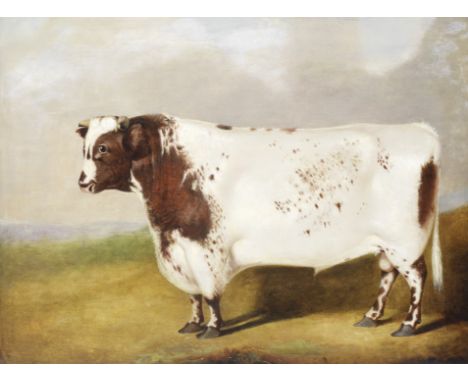 English School, mid-19th centuryA portrait of the bull Ravensworth, calved 1843oil on canvas 46 x 61cm (18 1/8 x 24in).Footno