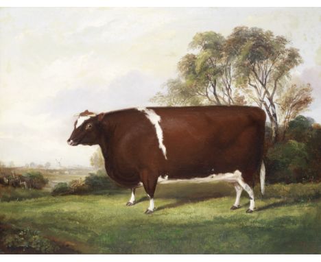 A. M. Gauci (British, 19th Century)Portrait of a cow in a landscape with a windmillsigned and dated 'Painted by A.M.Gauci/Jan
