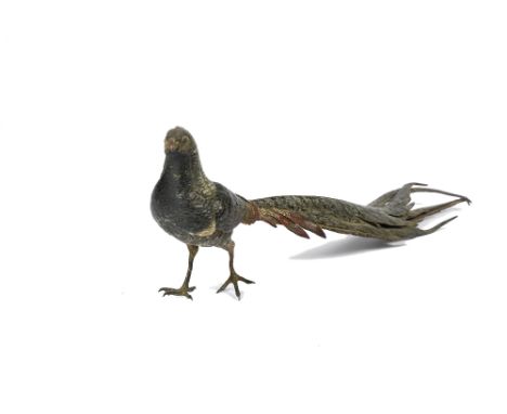 A Franz Xaver Bergman cold painted bronze female pheasant, stamped 'B', numbered 5724, 47 cm long