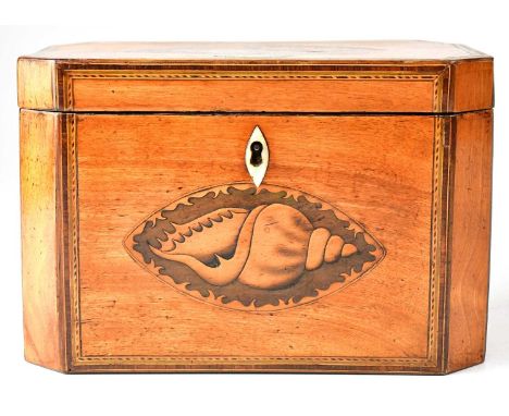 A Georgian inlaid satinwood two-section tea caddy with marquetry inlaid shell to lid and front, mother of pearl cartouche to 