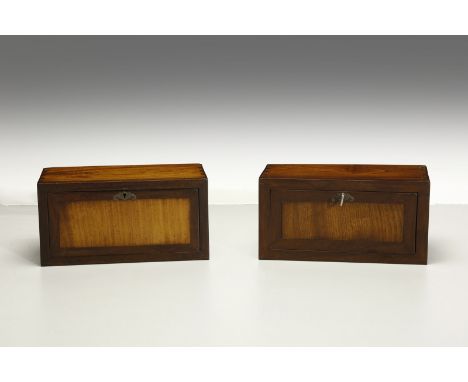 Chinese Art A pair of huanghuali boxes China, Qing dynasty, 18th century . . Cm 37,50 x 19,00 x 19,00. An important pair of r