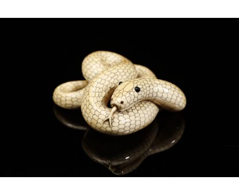 Japanese Art A snake shaped netsuke Japan, Meiji period (1868-1912), 19th century . . Cm 6,00 x 3,00. Natural patina ivory ca