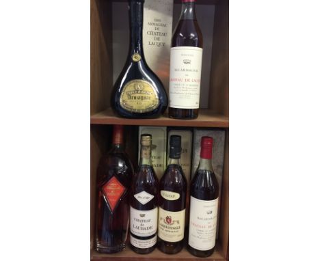 ARMAGNAC & COGNAC - 6 bottles to include Bisquit Passion Cognac, 2 x Chateau de Lacquy Bas Armagnac, Prince D'arignac XO Arma