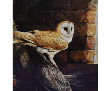 Unknown Artist, a coloured print, A barn owl within an interior setting, framed, mounted, and under glass, 28cm x 38cm, &amp;
