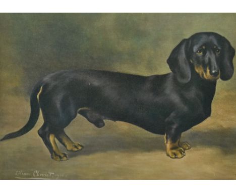 After Lilian Cheviot (c.1876-1936, British), a coloured print, 'The Daschund Earl Satin', framed, mounted, and under glass, 1