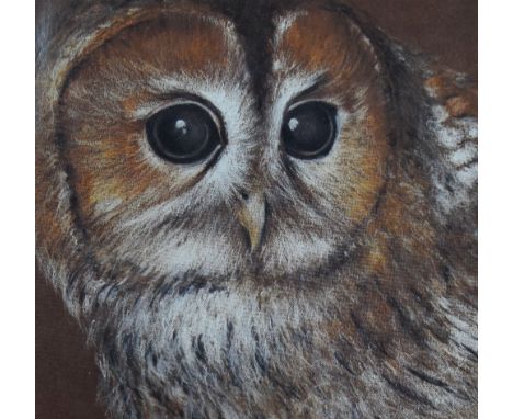 R. Fletcher (20th Century, British), a chalk study, A 'true' owl portrait, signed to the lower right, framed and mounted, 32c