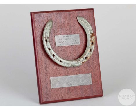 Shoe worn by the racehorse Arazi,mounted on a wooden plaque with easel support and set with engraved metal plaques, 20 by 15c