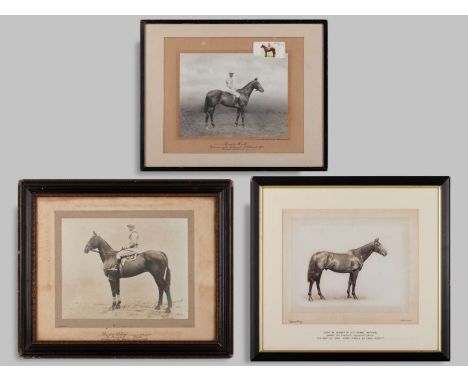 Three photographic portraits of Grand National winners dating between 1912 and 1924,comprising: Jerry M (1912), an 8 by 10in.