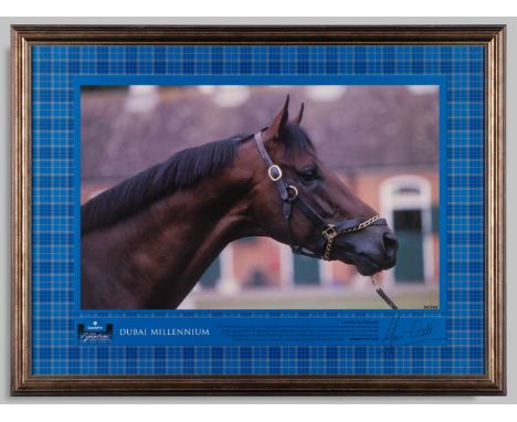 Frankie Dettori signed limited edition photographic print of the racehorse Dubai Millennium, signed by the jockey in black ma