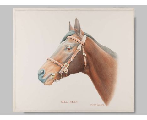 Watercolour painting of the racehorse Mill Reef by Paddy Page,signed, titled and dated '83, head and shoulders portrait on wa