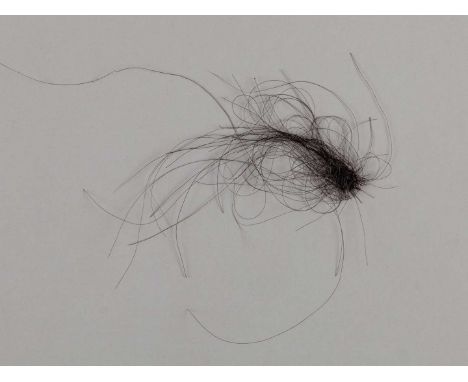A lock of hair from the racehorse and broodmare Miesque,with a card written in the hand of the collector Ray Goddard confirmi