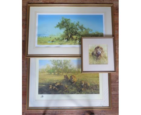 Two David Shepherd Limited Edition Prints _ First Light at Savuti (75.5x43cm, excl. frame), Africa (84x40.5cm, excl. frame) a