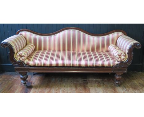 A William IV mahogany frame settee/ sofa, shaped camel back, with carved and scrolled arms, raised on turned legs and modern 