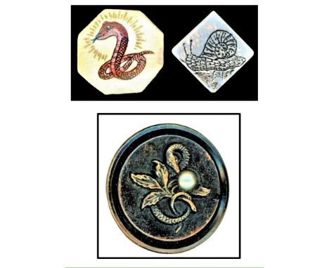 3 S/M/L 19th/20th century animal buttons including Motiwala.This small card includes a great large brass snake with a pearl, 