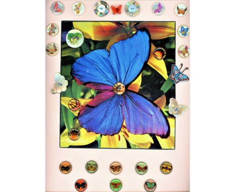 27 S/M/L assorted butterflies from the early 20th C. and beyond.This card has a large variety of butterflies and colors, many