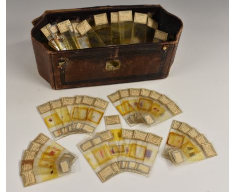Microscopy - a collection of prepared microscope slides, various specimens of physiology, each label annotated in ink manuscr