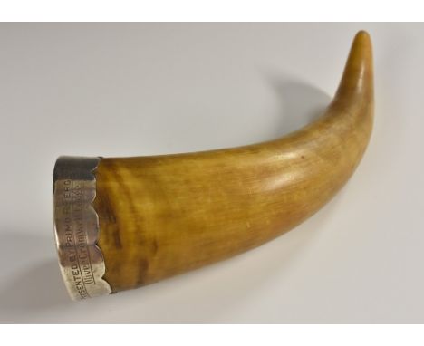 A 19th century silver coloured metal mounted horn, the wavy rim with Masonic inscription Presented by Primo R Ferguson, Olive