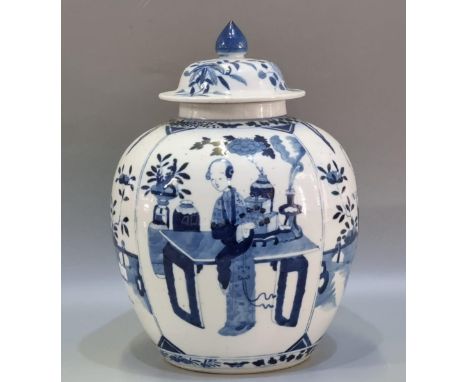 19th Century Chinese blue and white porcelain ginger jar and cover, the cover with foliate decoration and pointed finial, the