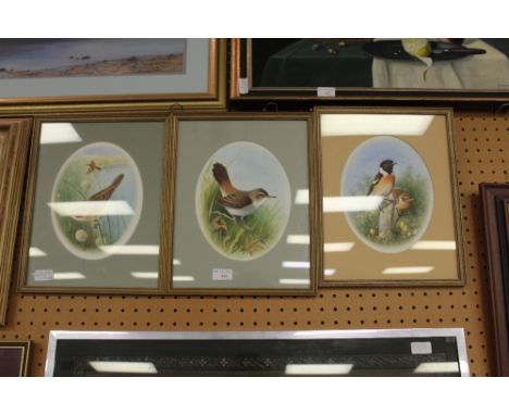 Three watercolours of birds by R. Reckitt