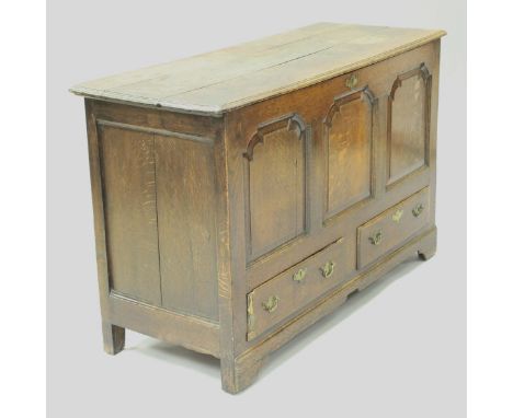 An oak mule chest with three panel front above the two drawers to bracket feet, 143 cm wide
