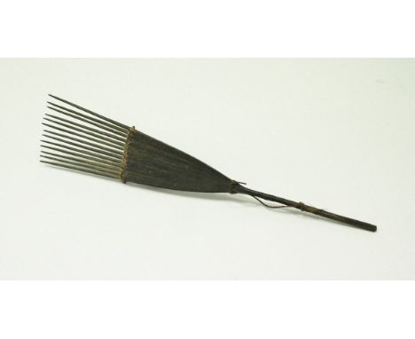 A 19th Century wooden comb bearing label "Comb Solomon Islands" CONDITION REPORTS Some of the end spikes are slightly blunted