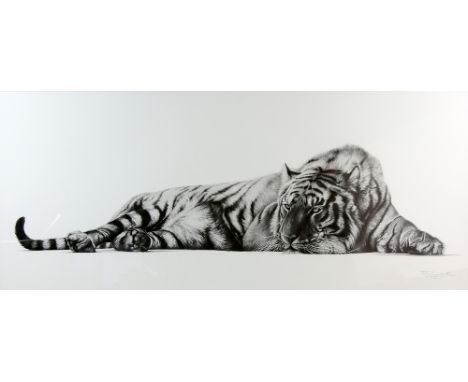 Richard Symonds, limited edition print of a tiger 'Contemplation' signed and numbered 88/500 in pencil, 40cm x 94cm, framed a
