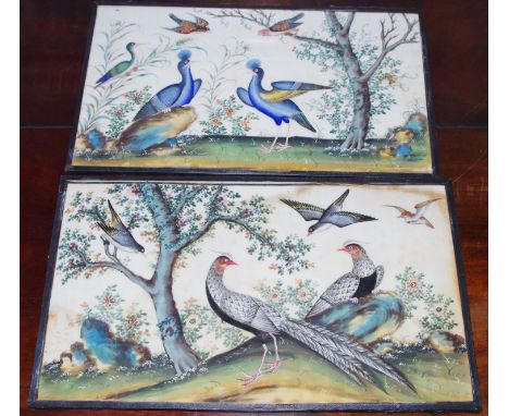 Chinese School (19th century)A pair, Ornithological Studies, Arrangements of Fanciful Birdswatercolour on pith paper, 18cm x 