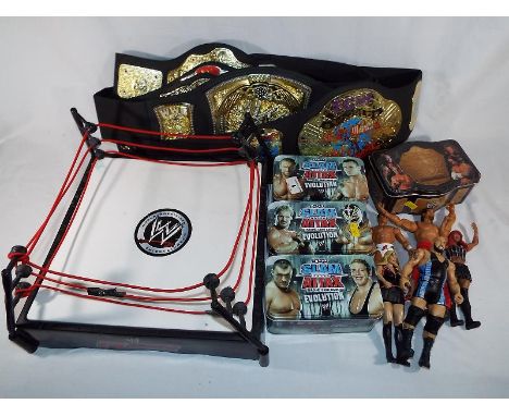 World Wrestling Entertainment by Mattel/Jakks Pacific - A collection of WWE wrestling figures, trading cards, ring and six ch
