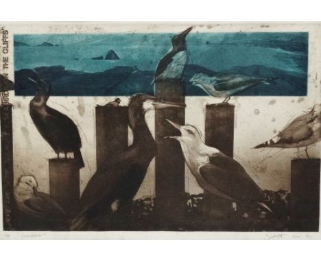 RICHARD JEBBIT Cormorant Etching, artist's proof Signed and dated Nov 84 Framed and glazed Picture size 27 x 40cm Overall siz