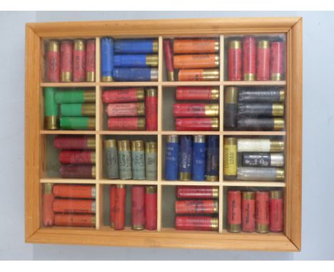 Wooden glazed shotgun cartridge display case with 60 12 bore shotgun cartridges. PLEASE NOTE THAT A VALID RELEVANT FIREARMS/S