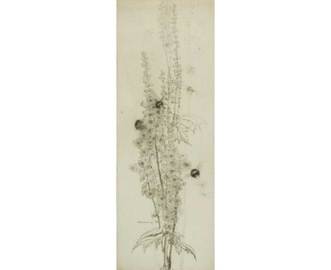 § KATHARINE CAMERON R.S.W., R.E. (SCOTTISH 1874-1965) MICHAELMAS DAISIES, 1921 Etching, signed to margin, signed and dated in