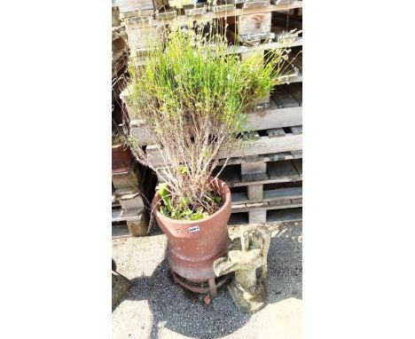 A garden planter & ornament COLLECT ONLY