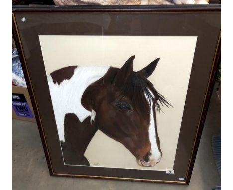 A large framed print of a horses head 70cm  x 81cm  COLLECT ONLY 