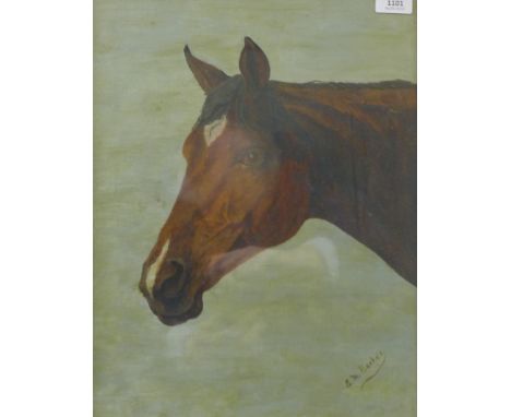 E M BARKER, Portrait of a Horse, oil, framed and glazed. 34.5 x 44.5.