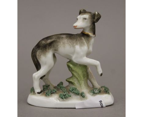 A 19th century porcelain model of a greyhound/whippet modelled wearing  a coursing collar, the underside with red anchor mark