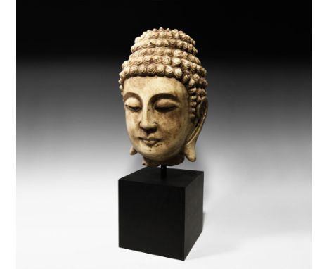 Tang Dynasty, 618-906 AD.&nbsp;A carved marble head of Buddha with hair composed of tight coils, finely carved facial details